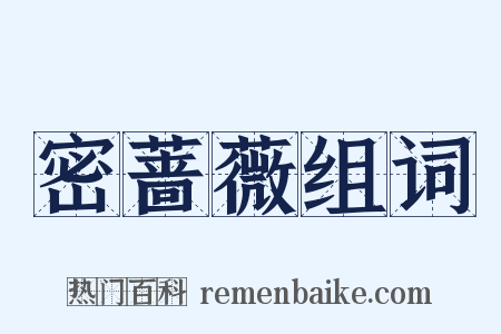 密蔷薇组词是什么意思的图片